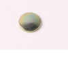CC3S70_TAPA