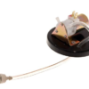 02-CONJUNTO TAPA Y MOTOR DE BOMBA
