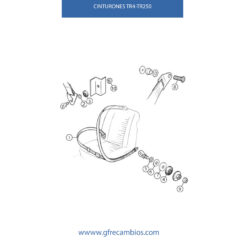 CINTURONES TR4-TR250