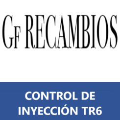 CONTROL DE INYECCIÓN TR6