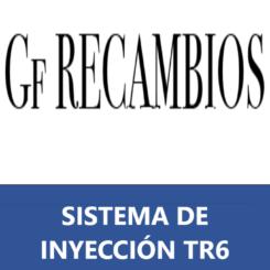 SISTEMA DE INYECCIÓN TR6